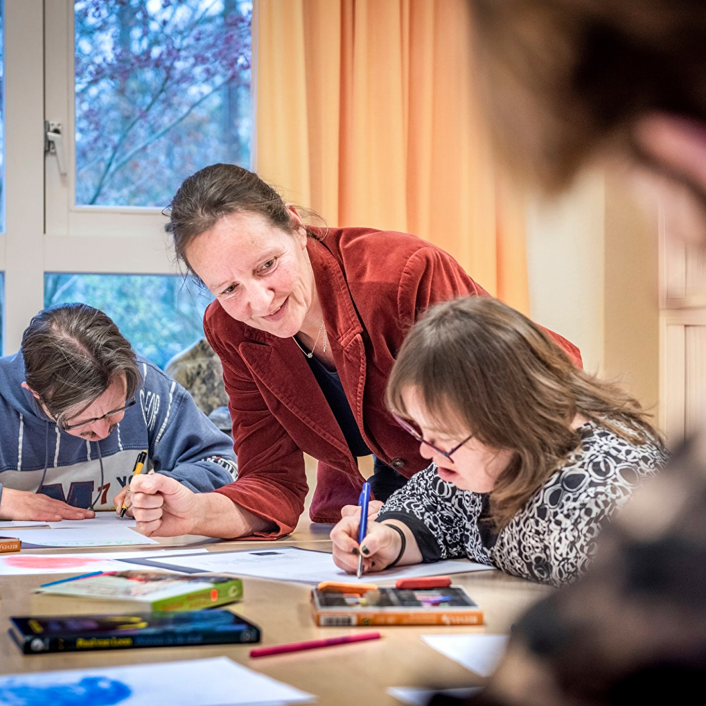 Bestuur & Organisatie