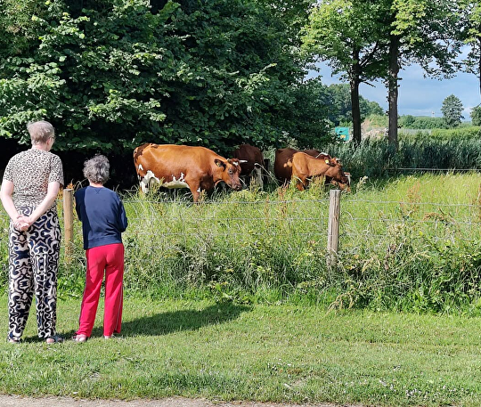 Zomaar genieten